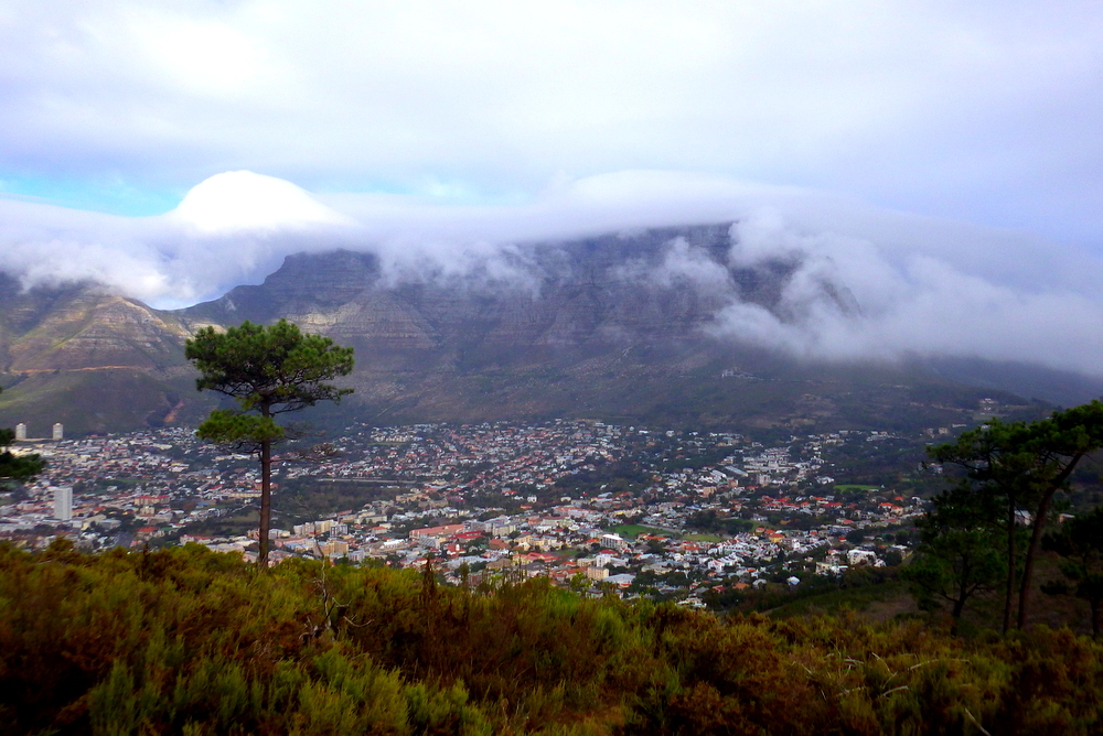 My Favorite Days So Far in Cape Town • LeadAbroad