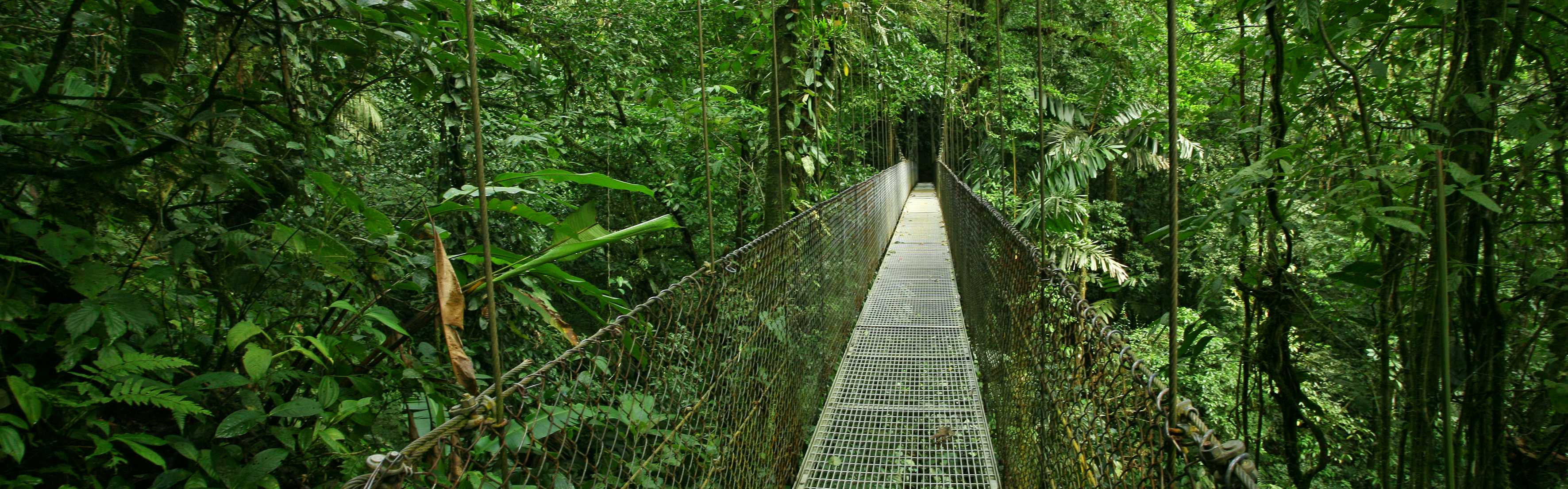 PRO Costa Rica Accepted Student Portal • LeadAbroad