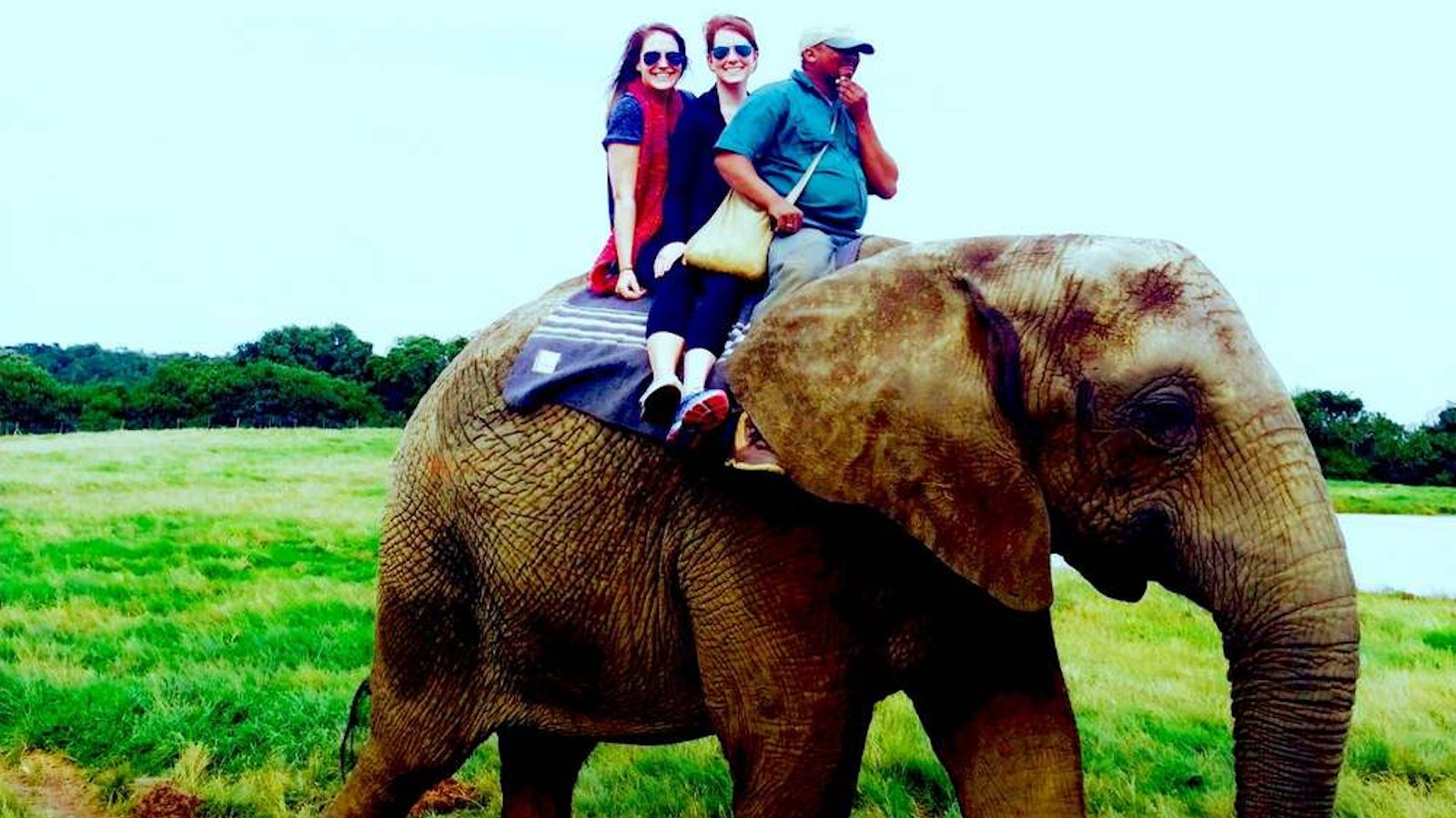 Riding an elephant in South Africa