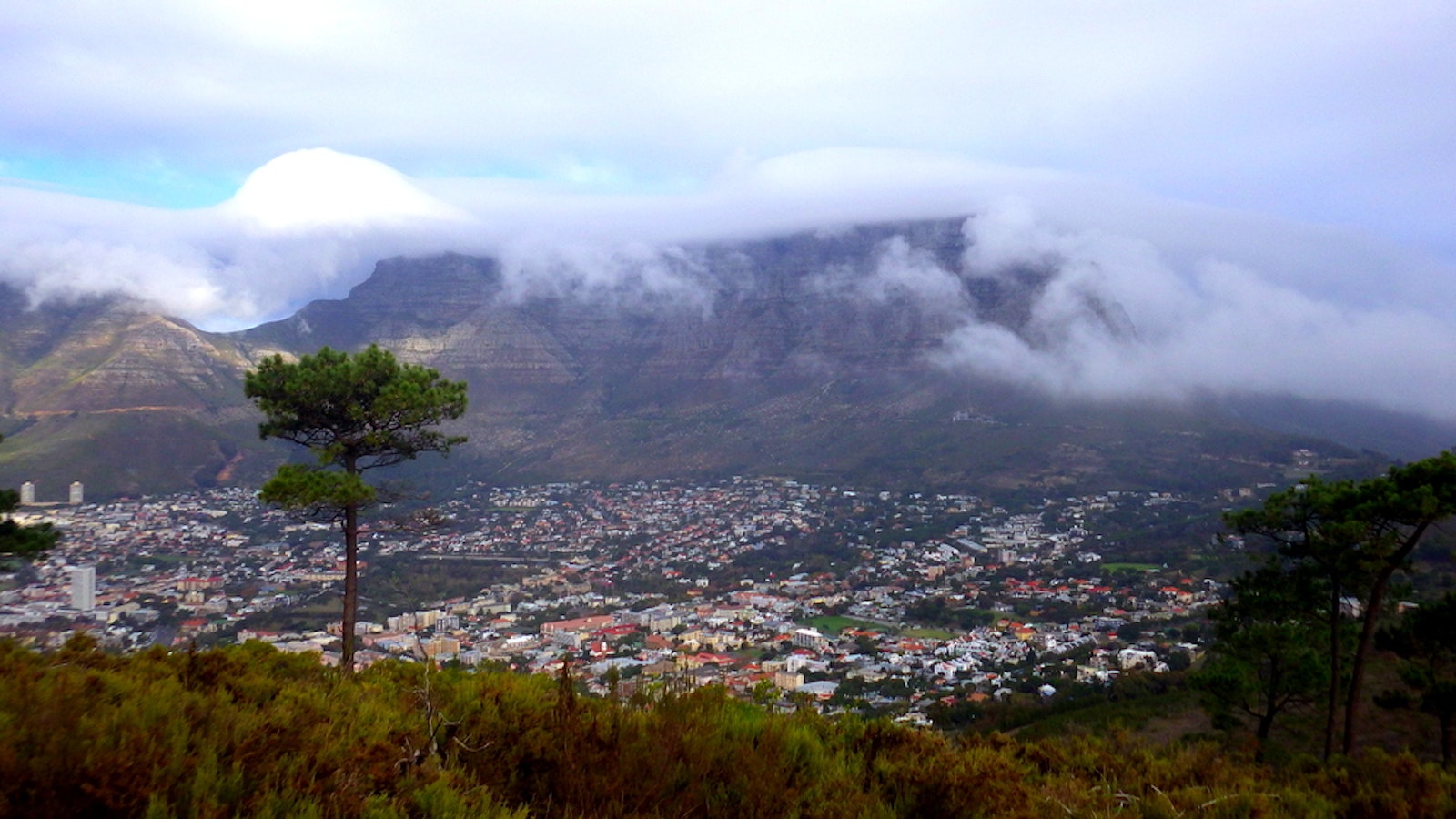 View of Table Mountain from Signal Hill