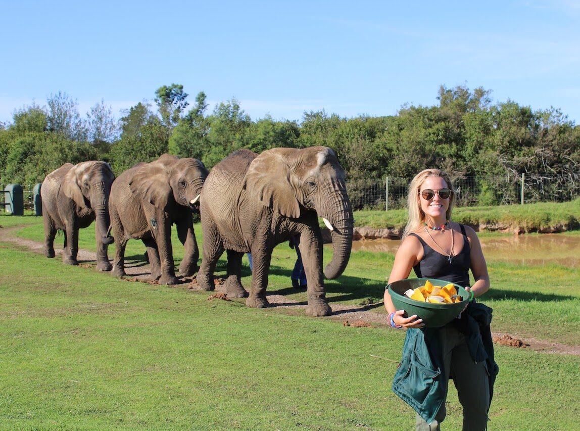 LEAD Cape Town 2023 Staging • LeadAbroad